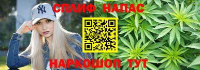 spice Вязьма