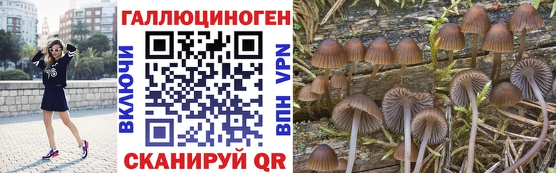 цены наркотик  Истра  Галлюциногенные грибы Magic Shrooms 