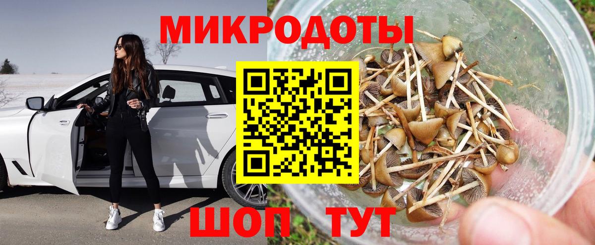 Галлюциногенные грибы Psilocybe  Вход с VPN  Истра 